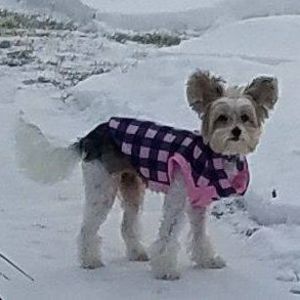 Meet your Posher, Elaine